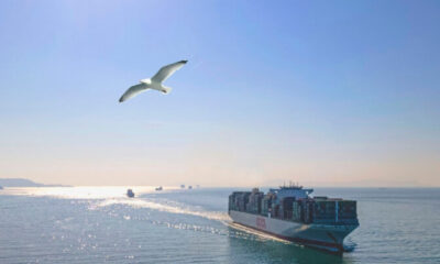 OOCL bird