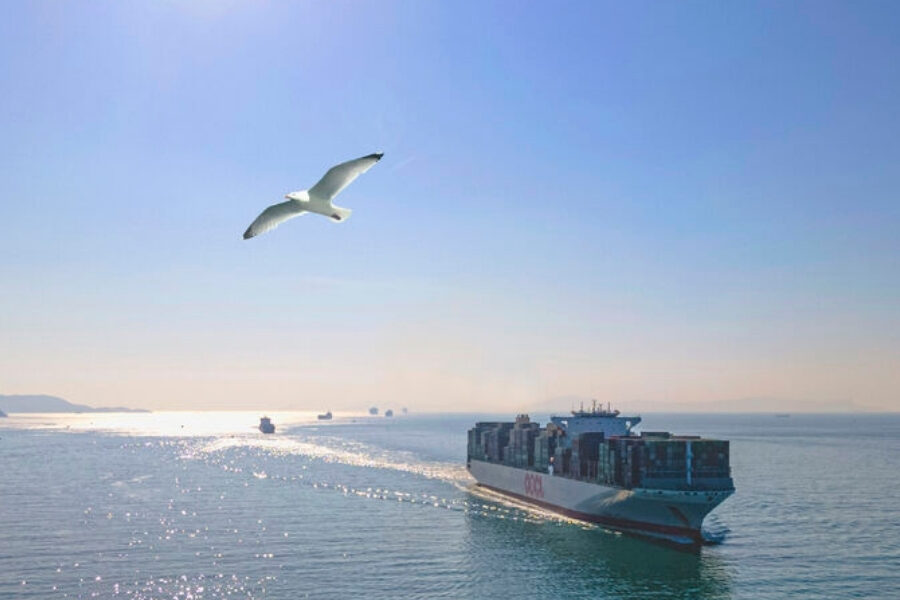 OOCL bird