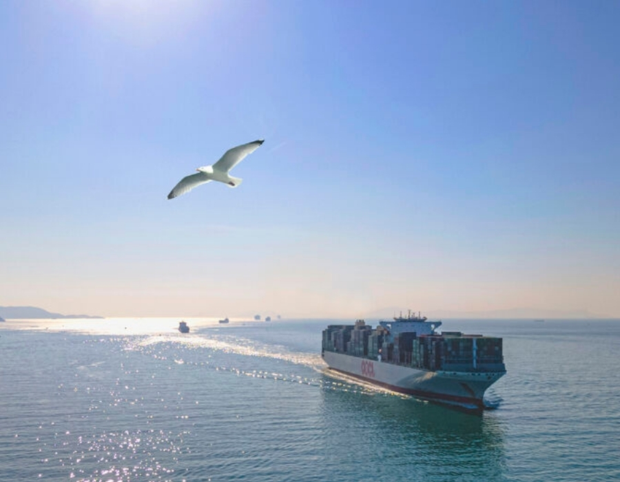 OOCL orders seven 24,000TEU methanol-compatible container vessels 26 OOCL bird
