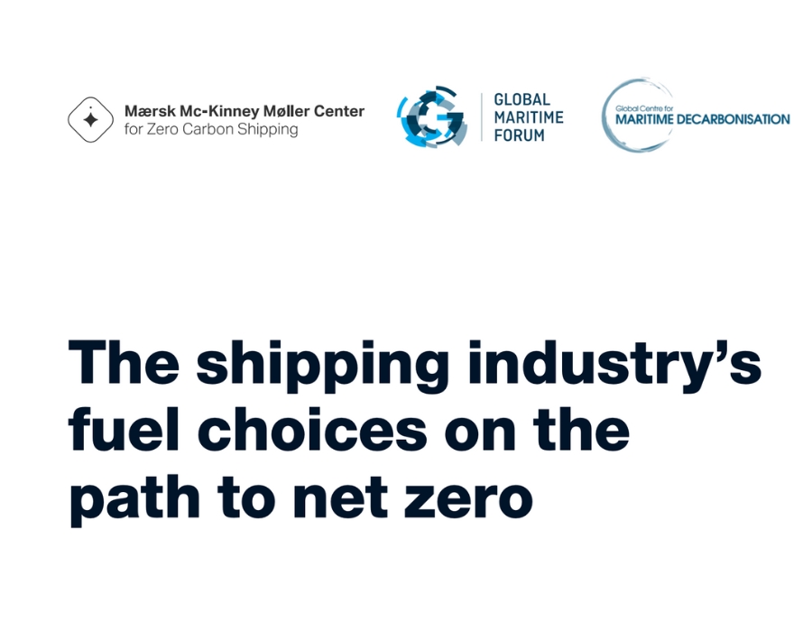 Survey suggests multi-fuel future for shipping industry on path to zero emissions 26 post 56099