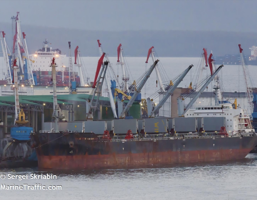 Singapore: Arrested livestock carrier “Yangtze Harmony” sold on 1 June 2023 28 sergei skriabin