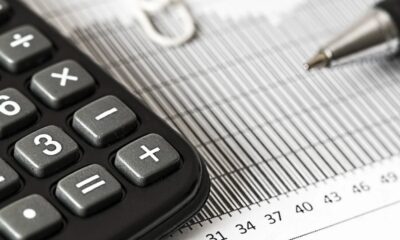 calculator steve pb from Pixabay