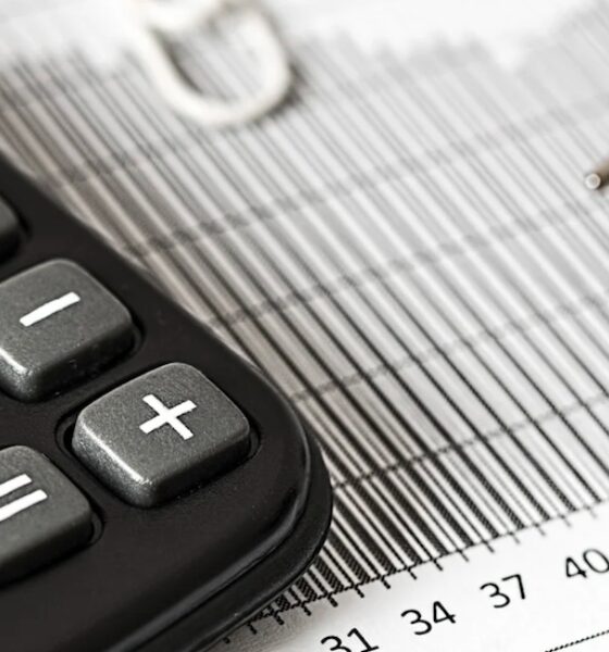 calculator steve pb from Pixabay