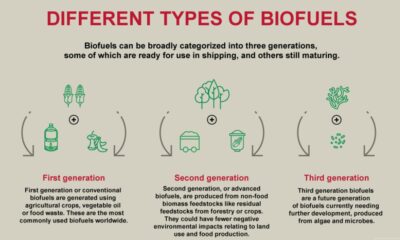 Bureau Veritas on biofuels: The transitional bunker fuel of today?