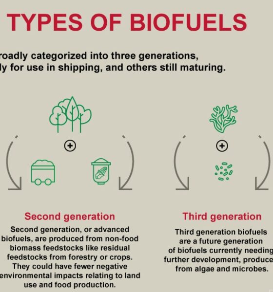 Bureau Veritas on biofuels: The transitional bunker fuel of today?