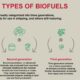 Bureau Veritas on biofuels: The transitional bunker fuel of today? 36 Bureau Veritas on biofuels: The transitional bunker fuel of today?