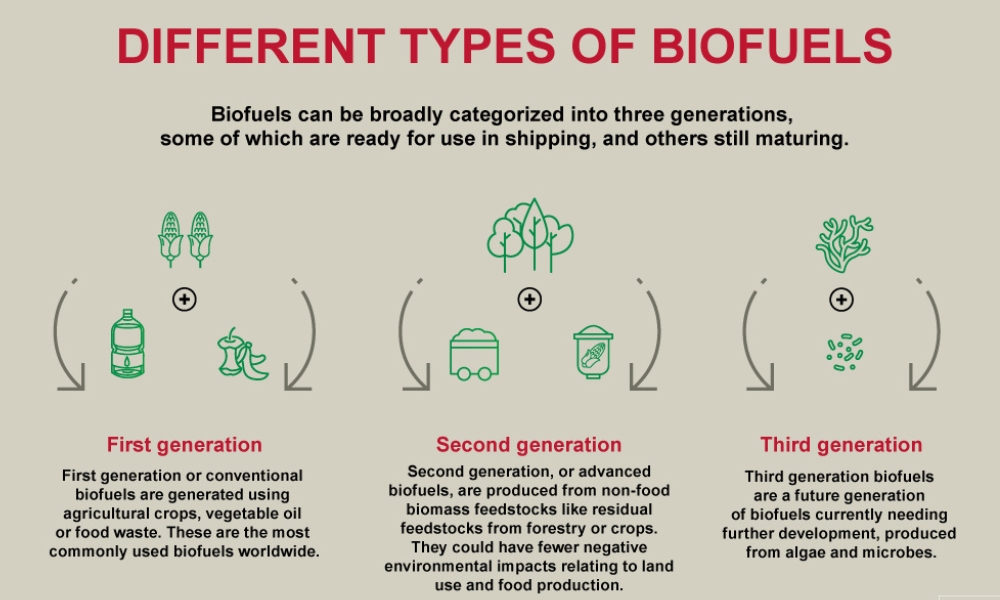 Bureau Veritas on biofuels: The transitional bunker fuel of today?