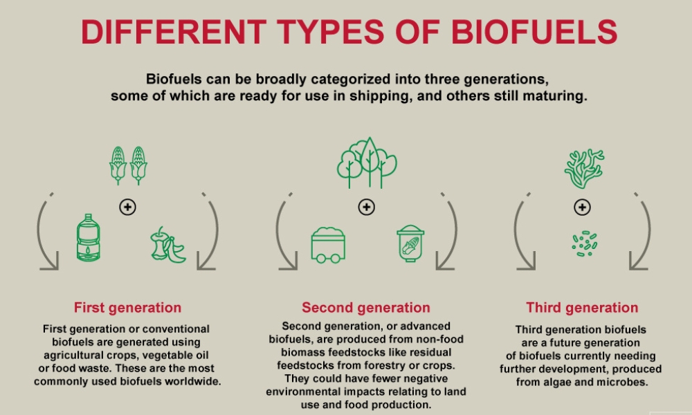 Bureau Veritas on biofuels: The transitional bunker fuel of today? 31 Bureau Veritas on biofuels: The transitional bunker fuel of today?
