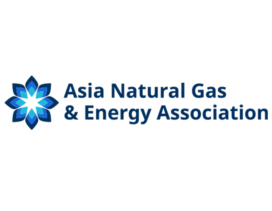 Asia Natural Gas and Energy Association