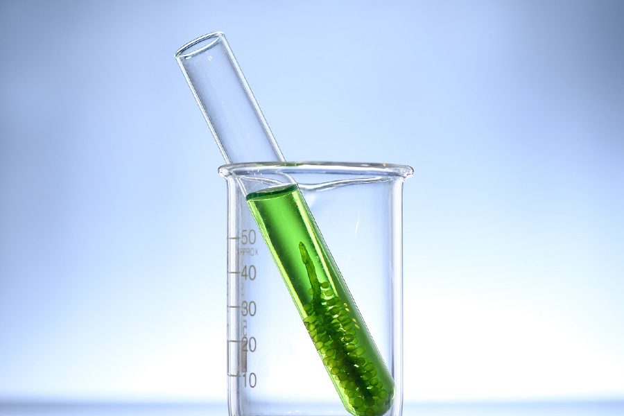 Biofuels MT