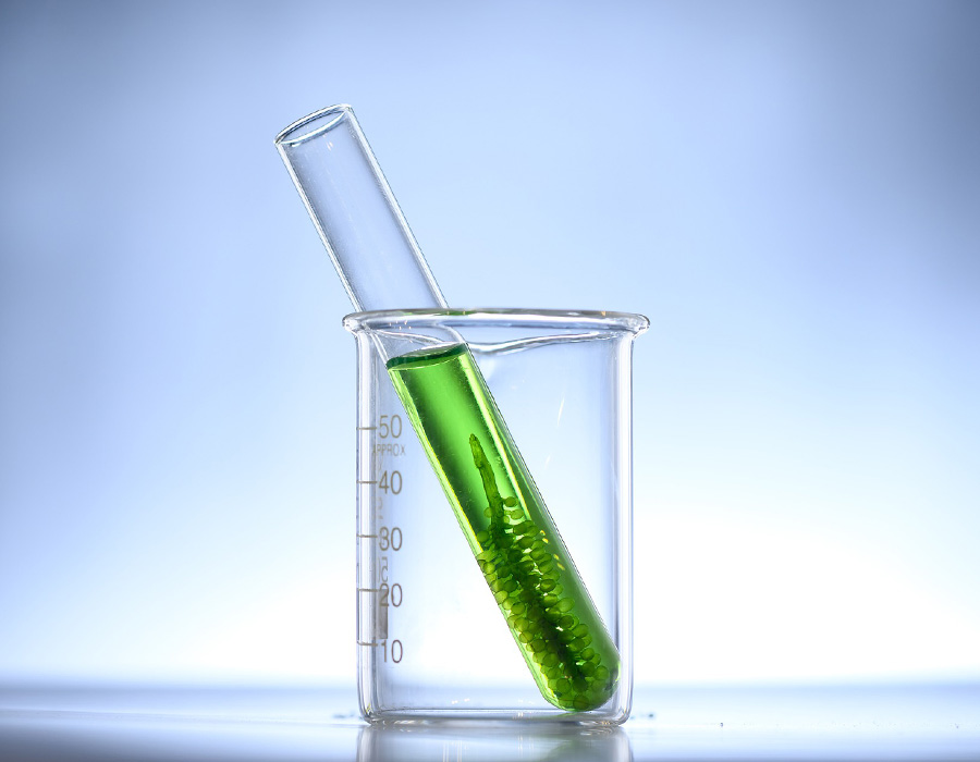Biofuels MT