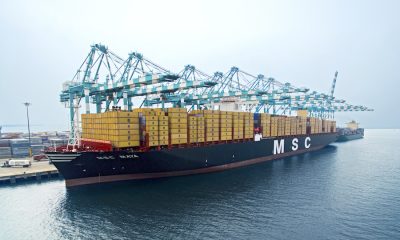 DJI 0181 mscmaya