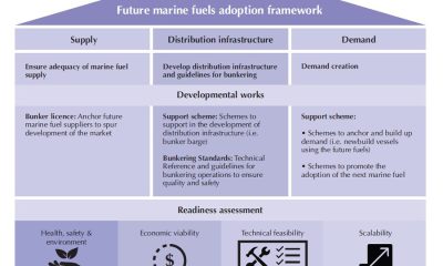 Future marine fuels adoption framework