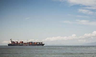 IMO working group