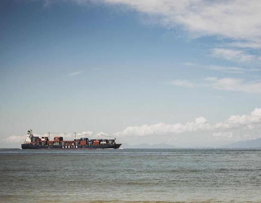 IMO working group