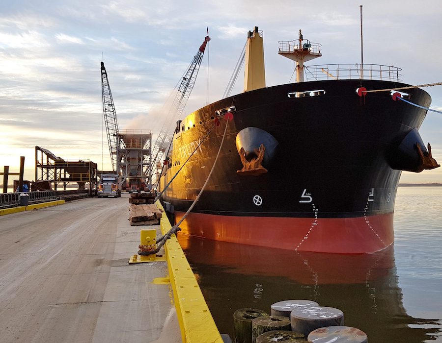 MINSHIP MV Trudy