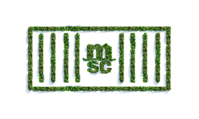 MSC carbon offsetting