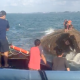 MT Wan Da sinking