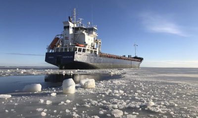 MV Donau wanmar 3