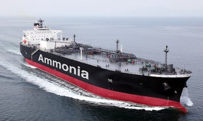 NYK Ammonia 1