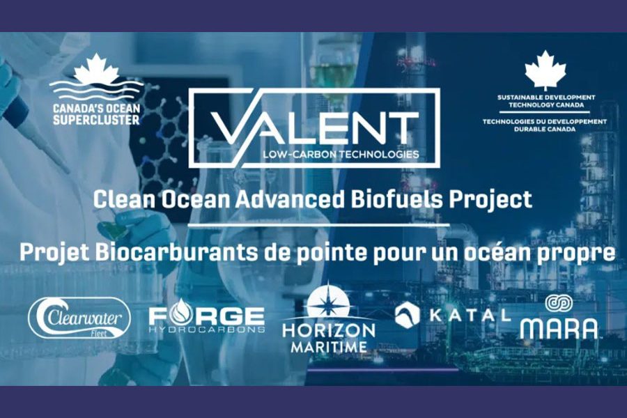 Ocean Supercluster