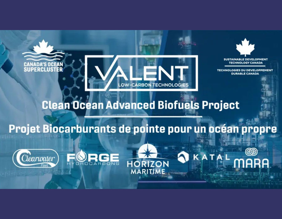 Ocean Supercluster