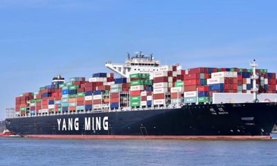 Yang Ming