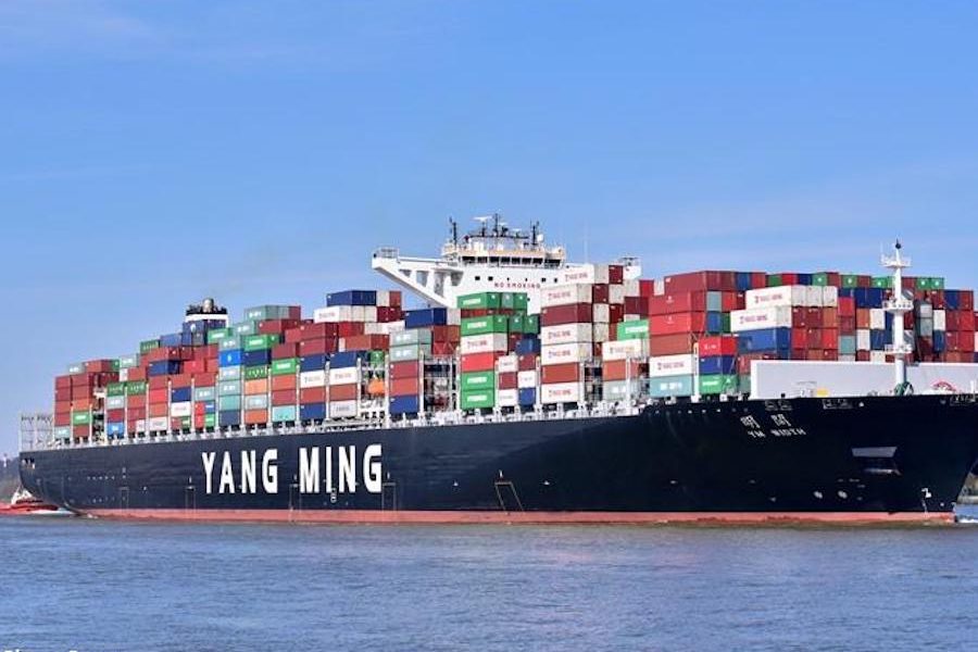 Yang Ming