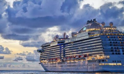 cruise