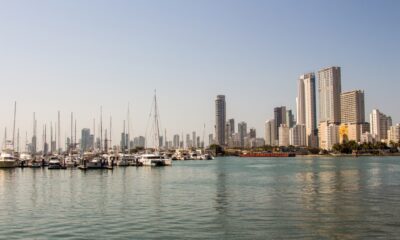 Luis Desiro on Unsplash