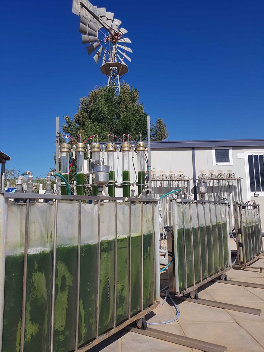 UK-Malaysian biotech firm HutanBio to scale bio bunker fuels for shipping industry UK-Malaysian biotech firm HutanBio to scale bio bunker fuels for shipping industry