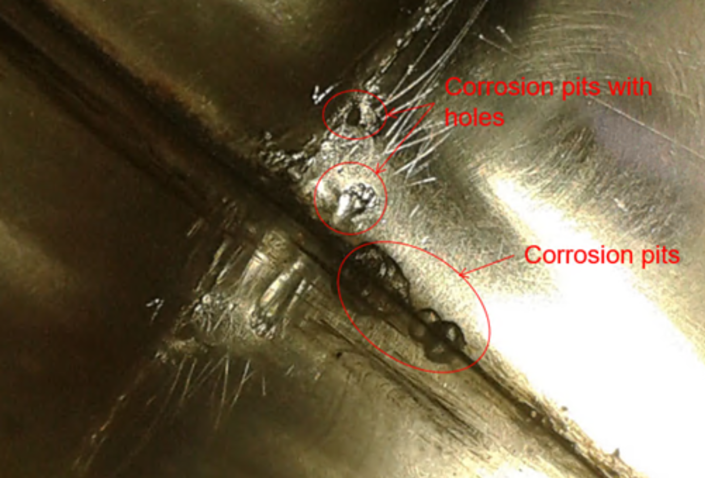 Corrosion caused by bacteria