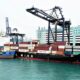 Chimbusco Pan Nation completes first B24 bio bunker fuel delivery for Yang Ming