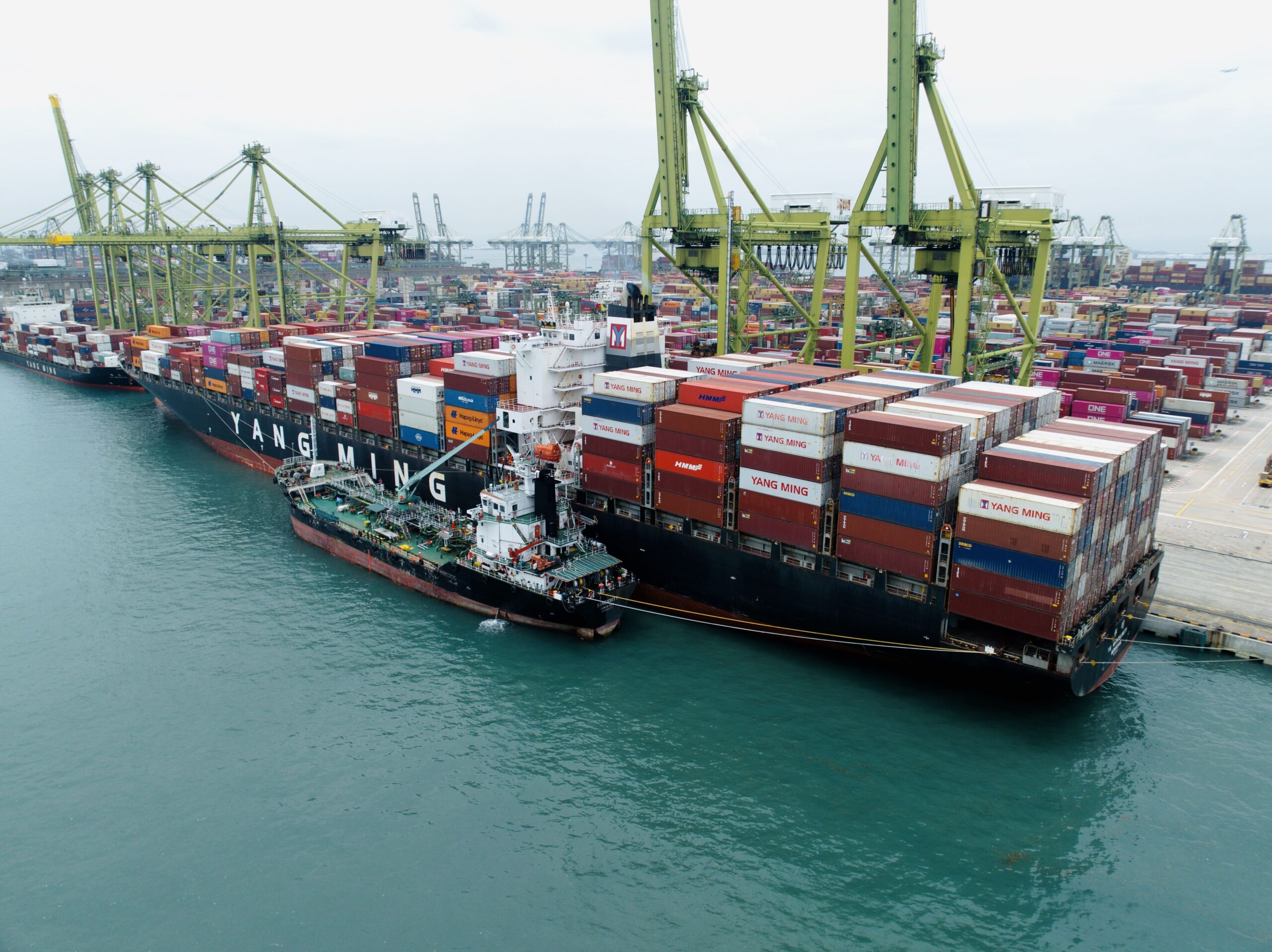 Yang Ming YM Masculinity was bunkered with biofuel at Singapore on 8th March