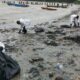 Malaysia: Government to look into demands of Johor fisherman affected by oil spill from Singapore