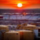 ORLEN oil terminals