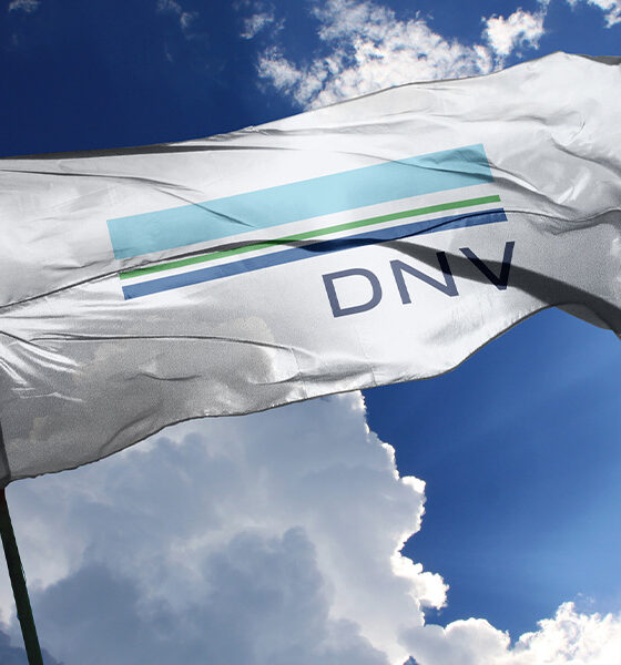 DNV flag
