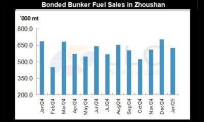 JLC China Bunker Fuel Market Monthly Report (January 2025)