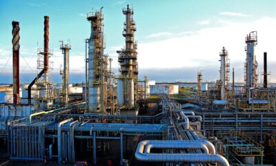 Brazil refinery to produce bunker fuels from eucalyptus biomass oil