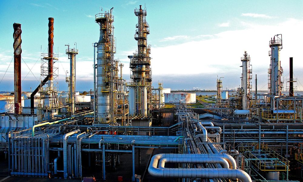 Brazil refinery to produce bunker fuels from eucalyptus biomass oil