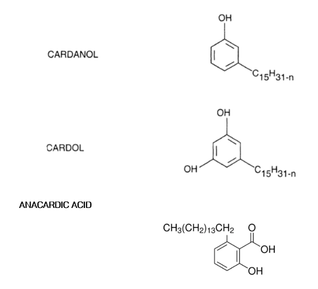 VPS on Cashew Nut Shell Liquid: Biofuel saviour or concerning contaminant?
