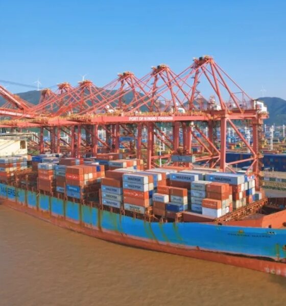 Sinobunker sets new record for largest biofuel bunkering operation in China