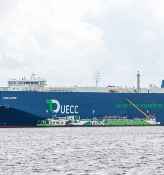 UECC: Liquefied biomethane bunker fuel to enable compliance surplus under FuelEU