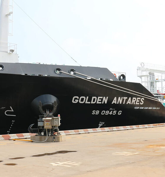 Golden Antares MT