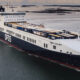 DFDS FreeSia MT