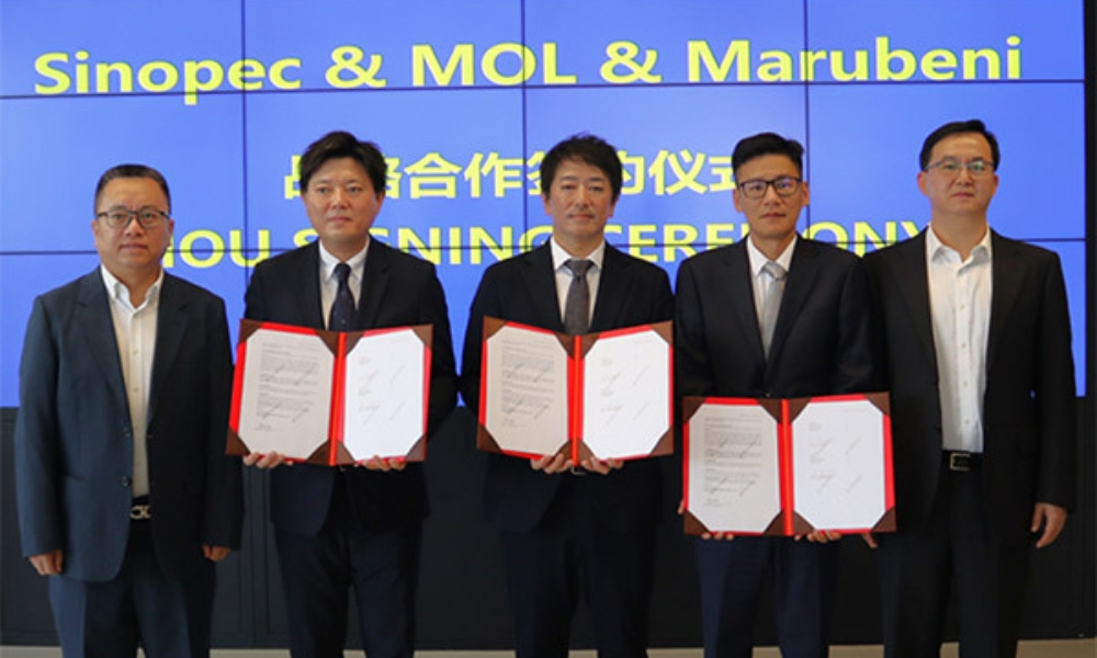 Sinopec, MOL and Marubeni to develop long-term supply for biodiesel bunker fuel