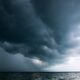 Daniel Lerman on Unsplash