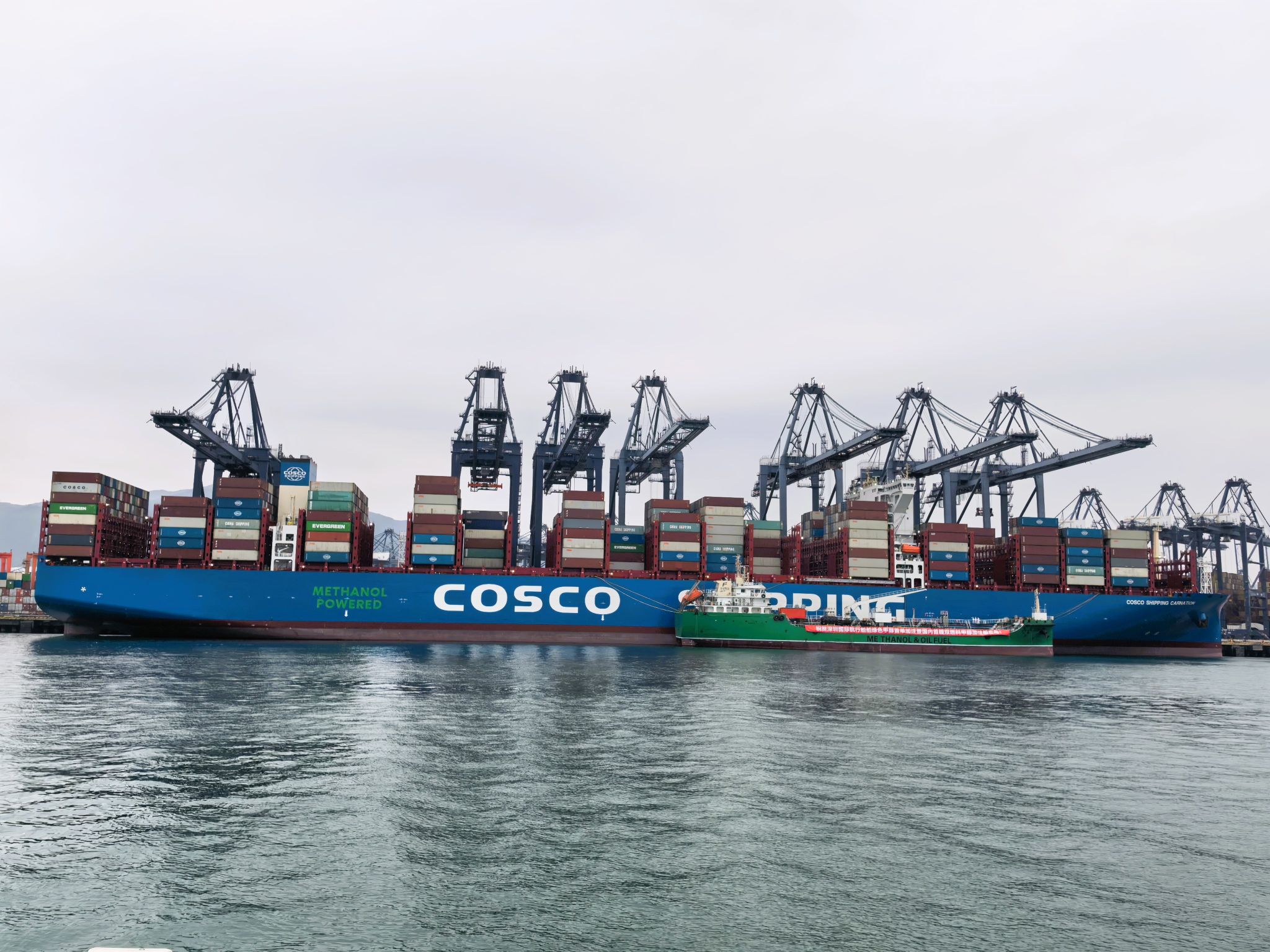 Sea Trader subsidiary opens third Asia bunker trading office in Singapore |  Manifold Times