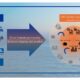 MOL and ITOCHU to promote use of Environmental Attribute Certificates