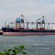 MarineTraffic / Ed Kaas